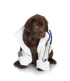 Cute dog in uniform with stethoscope as veterinarian on white background