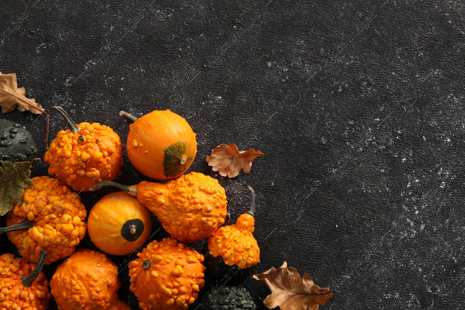 Photo of Different fresh ripe pumpkins and dry leaves on black textured table, flat lay. Space for text