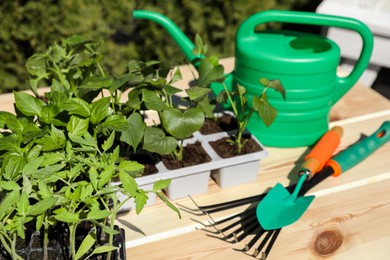 Photo of Seedlings growing in plastic containers with soil, gardening tools and watering can on table outdoors