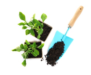 Photo of Plants and trowel with soil on white background, top view. Professional gardening tool