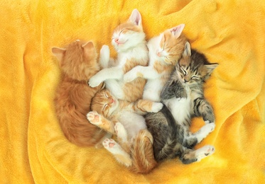 Cute little kittens on yellow soft blanket, above view
