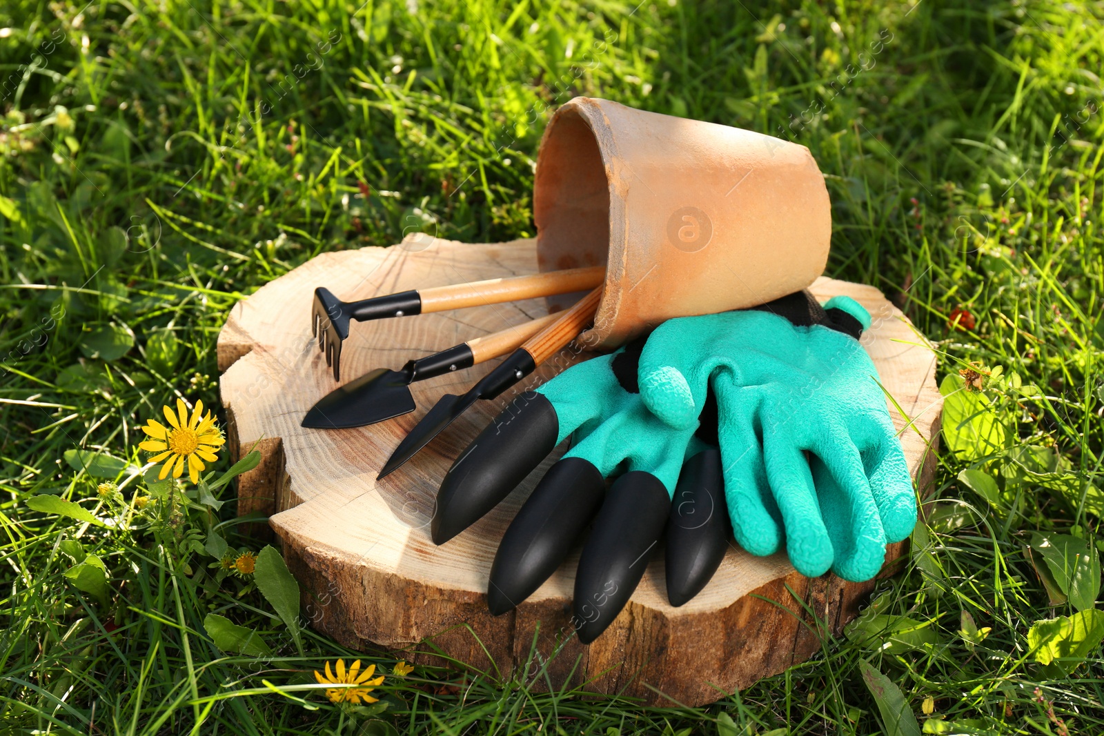 Photo of Pair of gloves and pot with gardening tools on wooden stump among grass outdoors