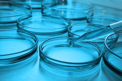 Dropping reagent into Petri dish with liquid on table, toned in blue. Laboratory glassware
