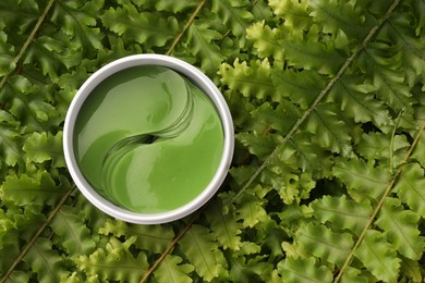 Photo of Jar of under eye patches on green fern leaves, top view and space for text. Cosmetic product