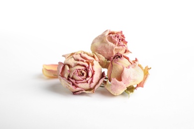 Photo of Beautiful dry rose flowers on white background