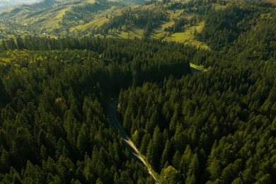 Aerial view of asphalt road among trees in mountain forest on sunny day. Drone photography