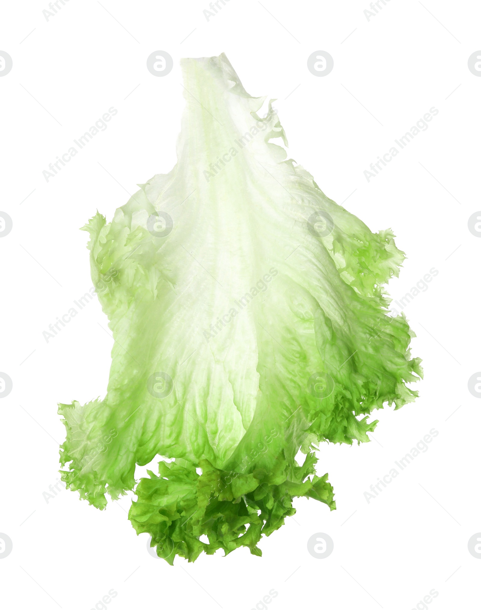 Photo of Fresh green lettuce leaf isolated on white