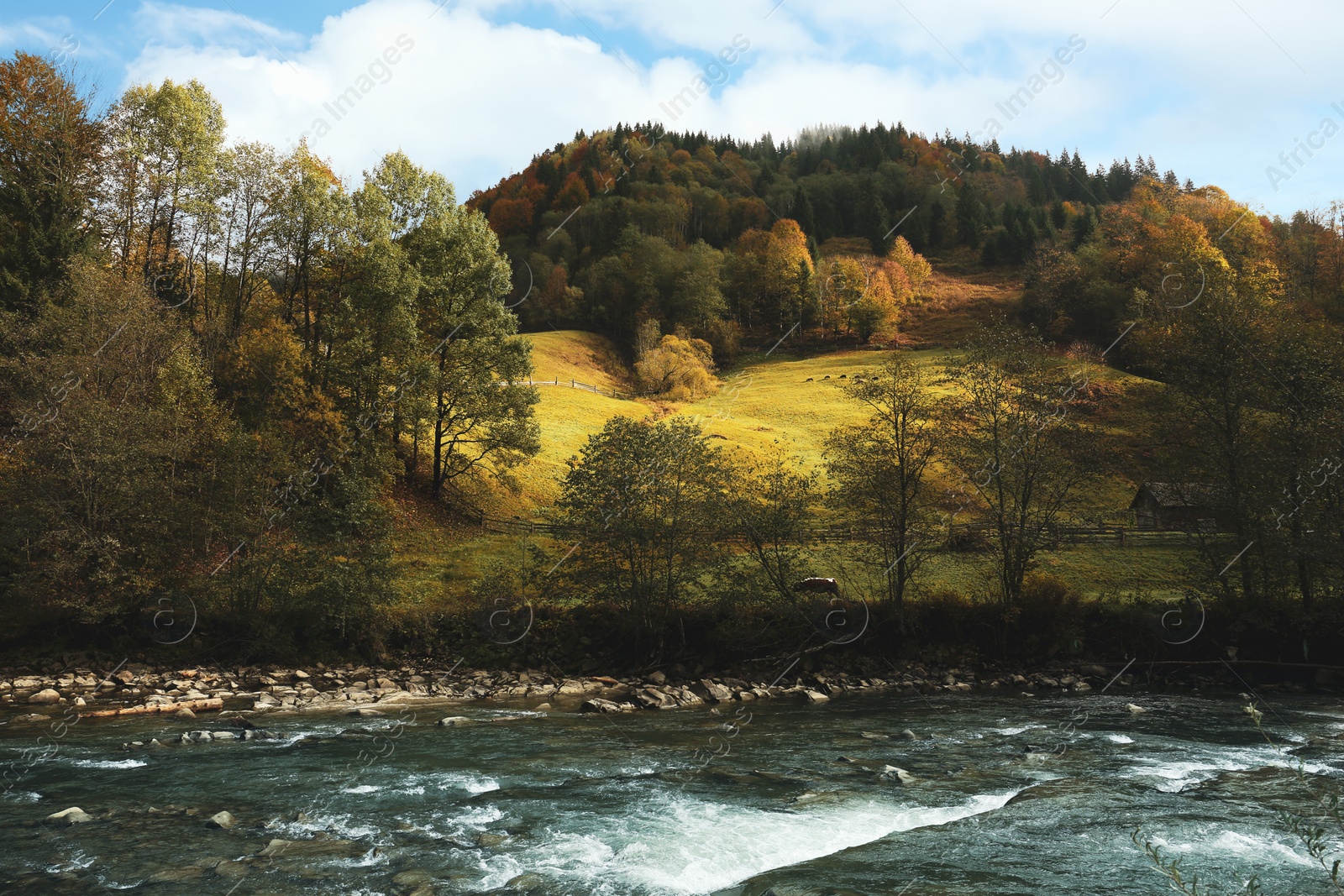 Photo of Picturesque view of beautiful river flowing near mountain