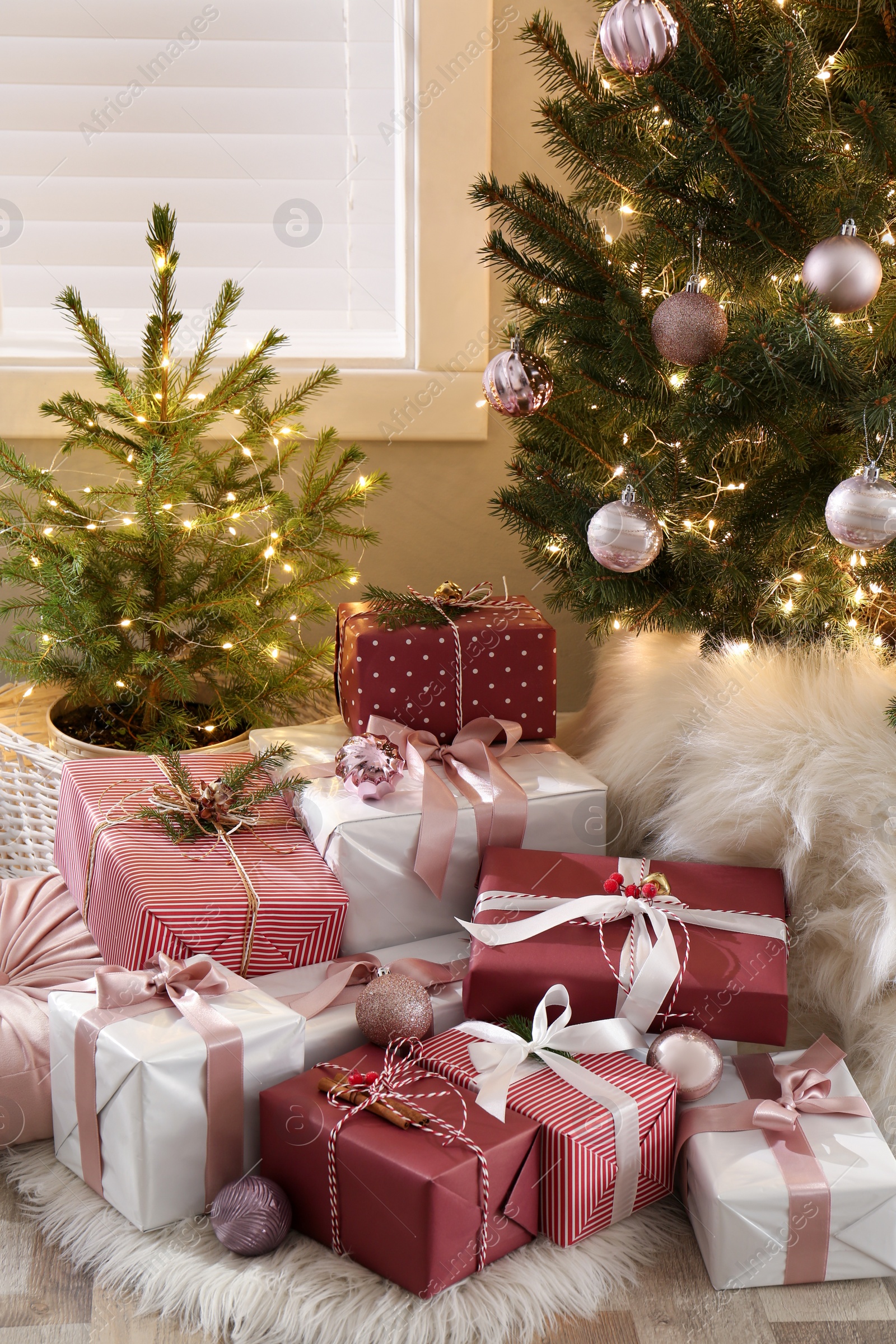 Photo of Gift boxes under small and big Christmas trees indoors