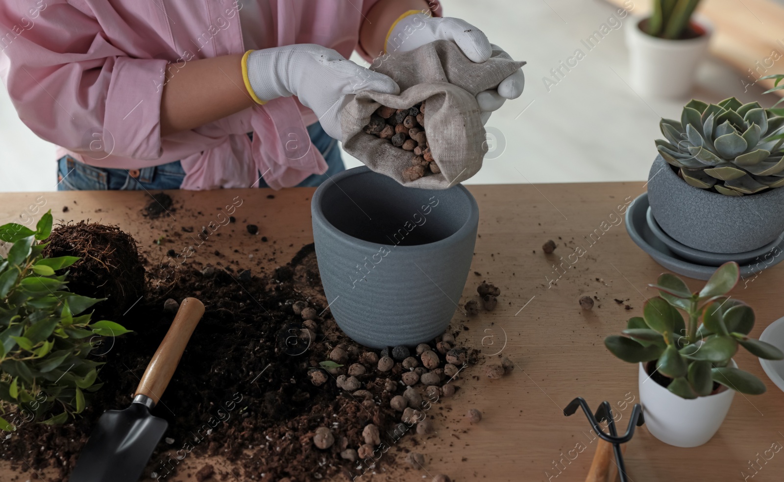 Photo of Woman filling flowerpot with drainage at table indoors, closeup. Houseplant care