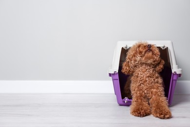 Photo of Travel with pet. Fluffy dog in carrier on floor indoors, space for text