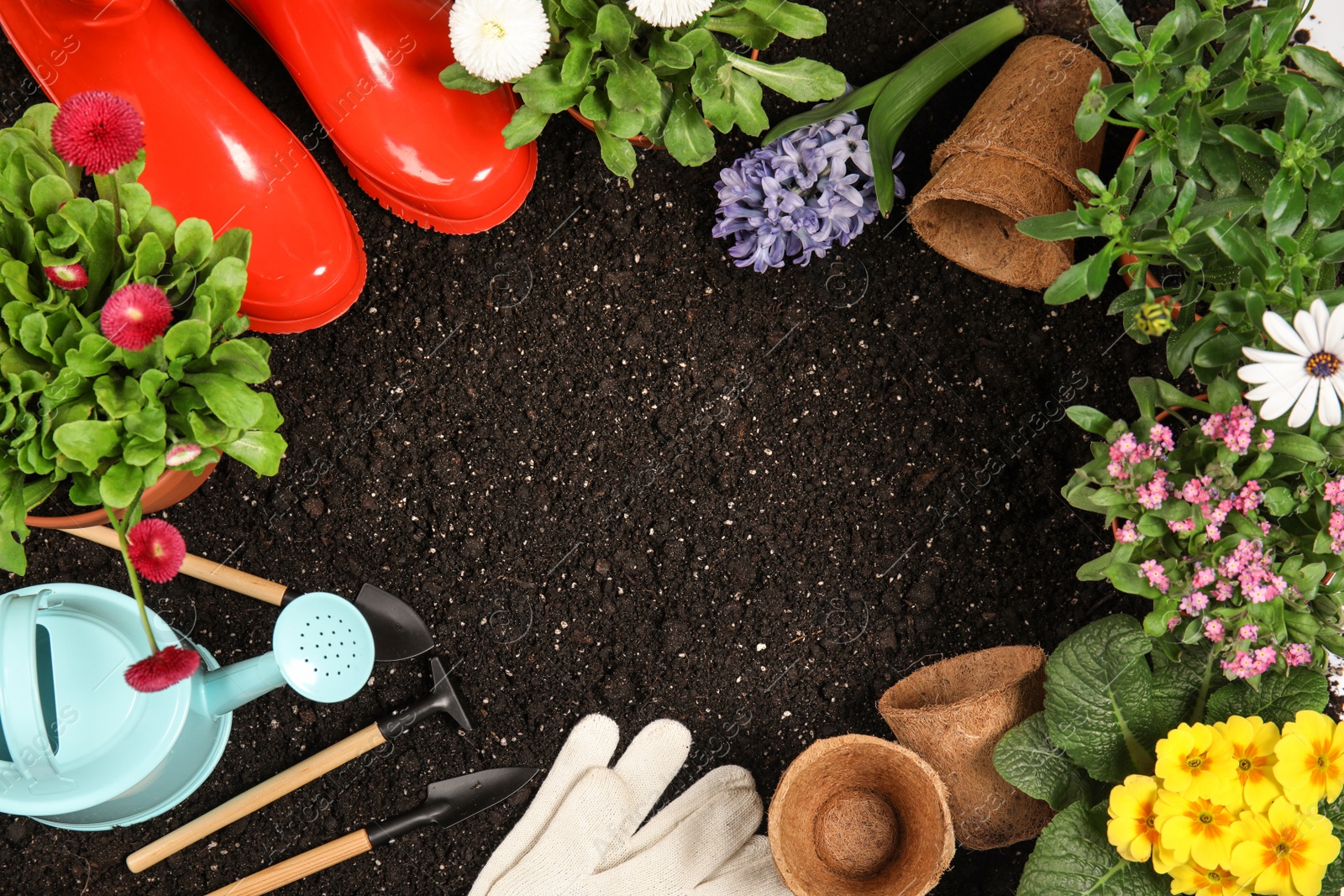 Photo of Flat lay composition with gardening equipment and flowers on soil, space for text