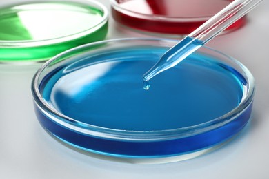 Photo of Dripping light blue liquid into Petri dish on white background, closeup
