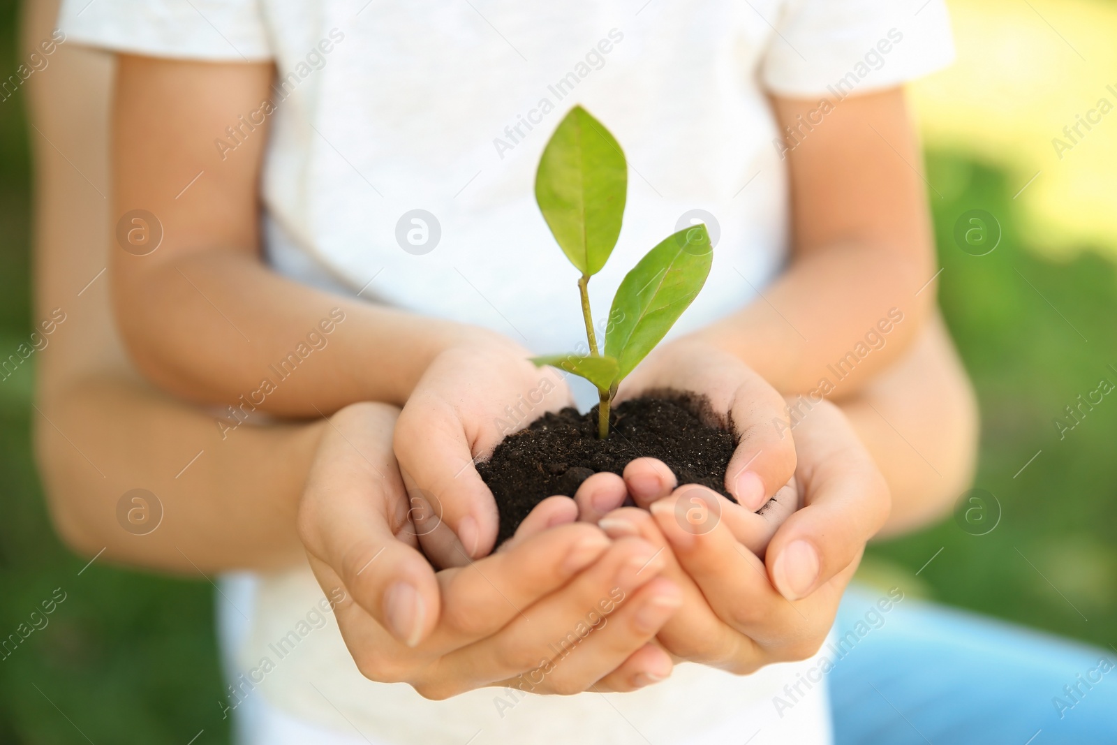 Photo of Woman and her child holding soil with green plant in hands on blurred background. Family concept