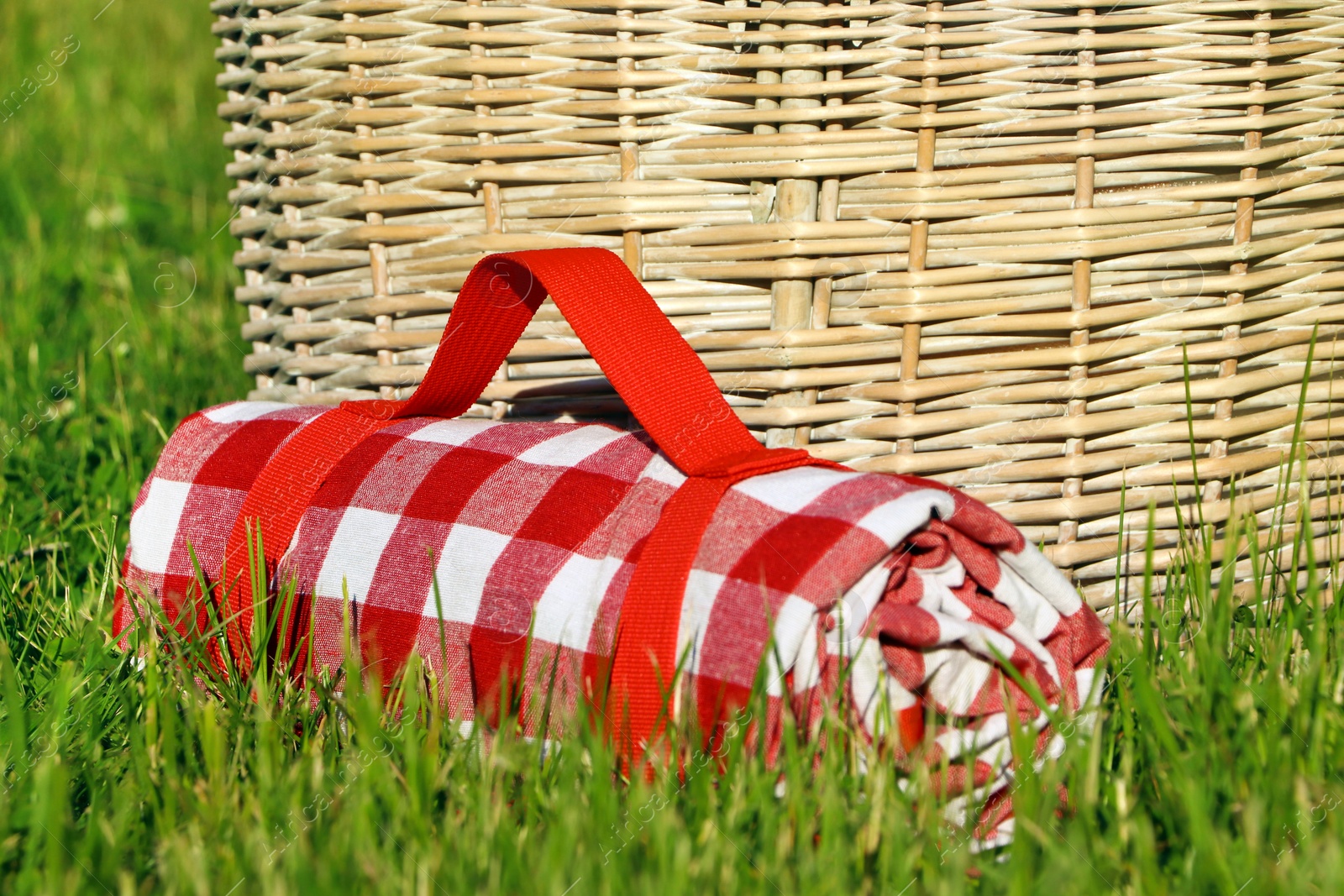 Photo of Rolled checkered tablecloth near picnic basket on green grass, closeup