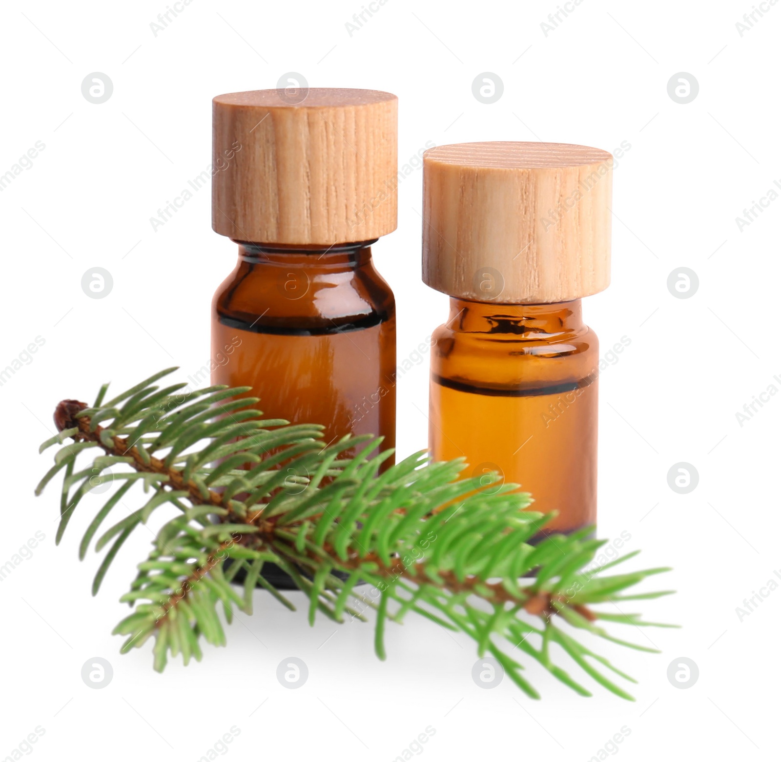 Photo of Bottles of pine essential oil on white background