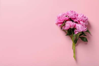 Photo of Beautiful fragrant peony flowers on color background