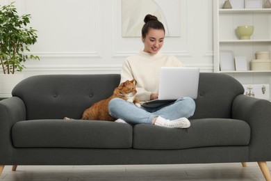 Woman working with laptop at home. Cute cat sitting on sofa near owner