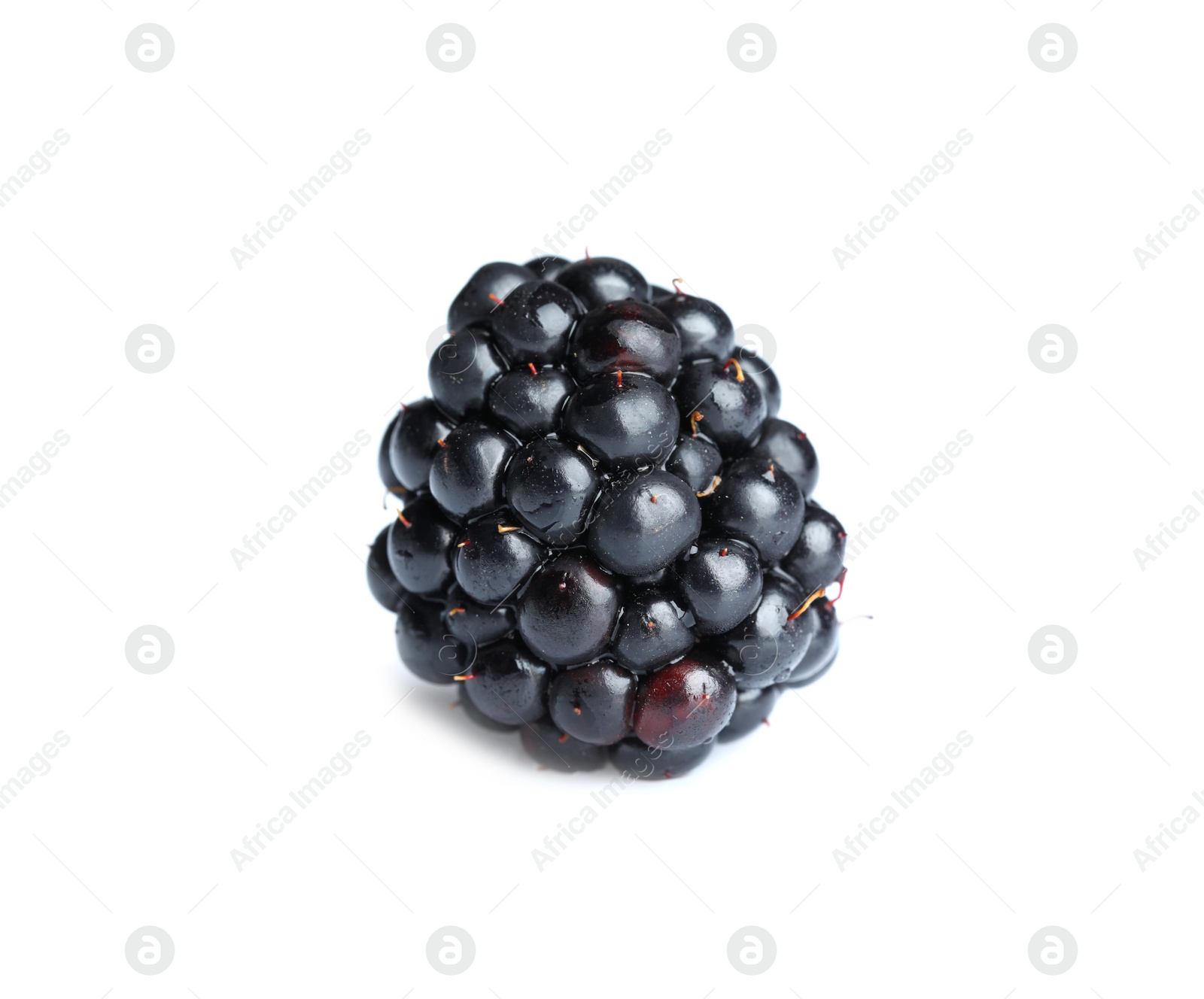 Photo of One tasty ripe blackberry isolated on white