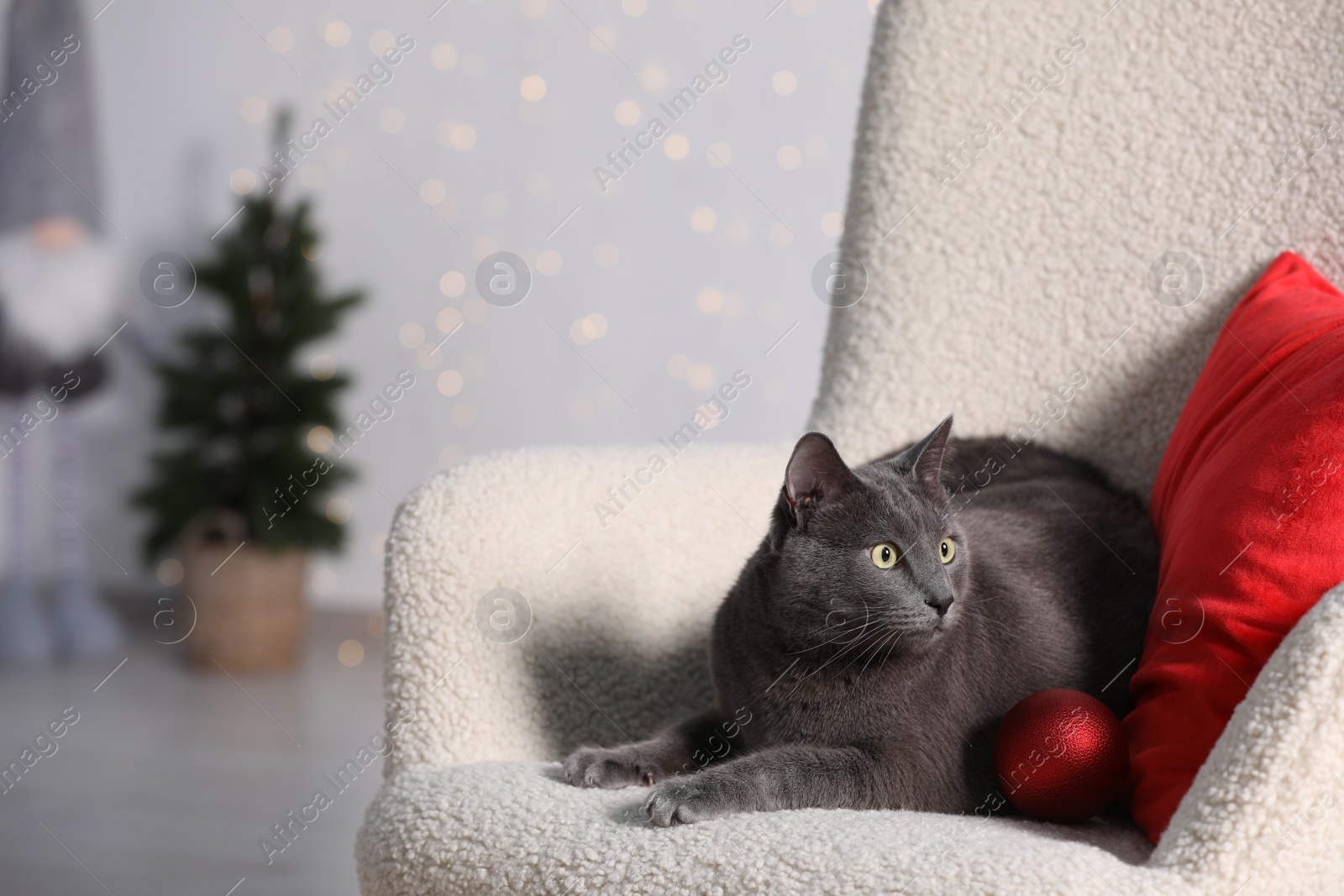 Photo of Cute cat with Christmas ball on armchair at home. Space for text