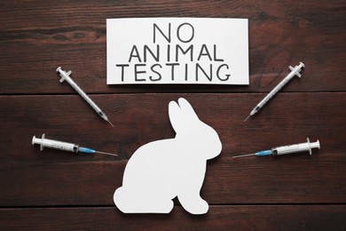 Photo of Card with text No Animal Testing, figure of rabbit and syringes on wooden table, flat lay