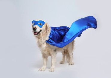 Photo of Adorable dog in blue superhero cape and mask on light grey background