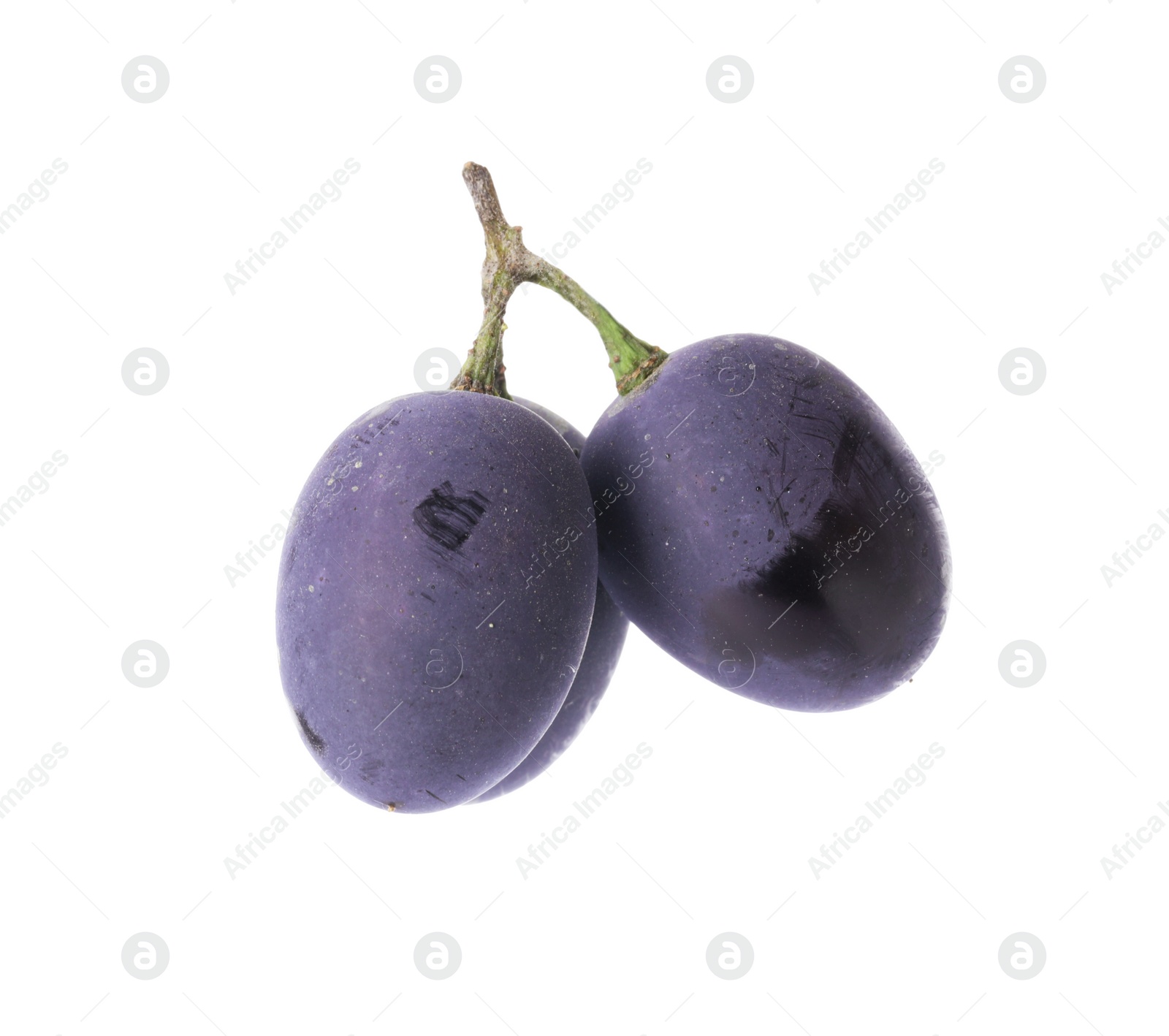 Photo of Delicious ripe dark blue grapes isolated on white