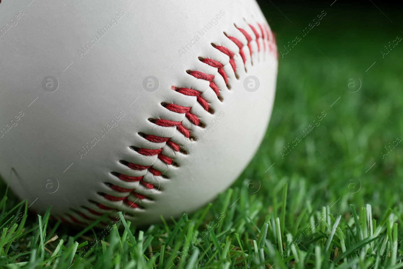 Photo of Baseball ball on green grass, closeup. Sports game