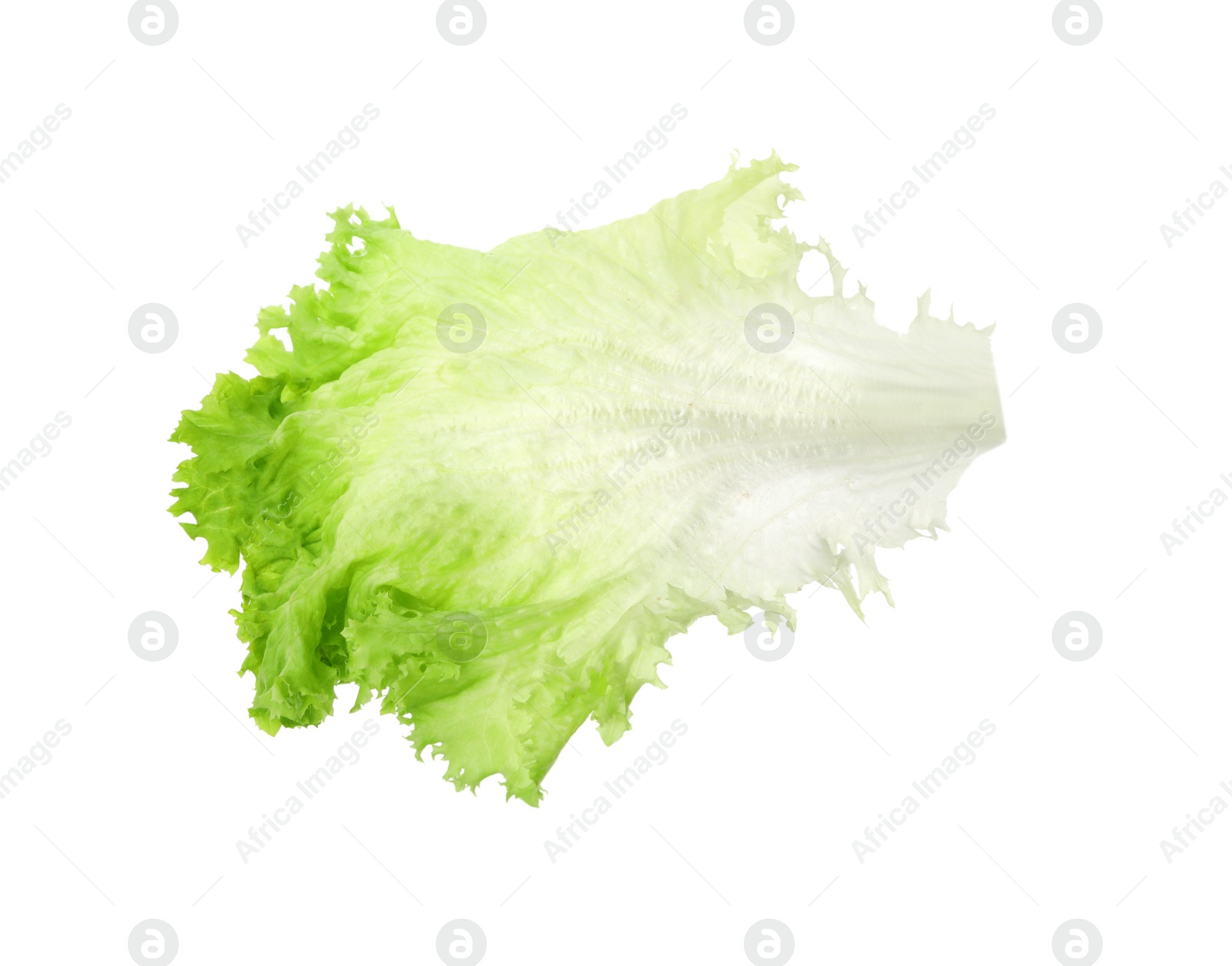 Photo of Fresh green lettuce leaf isolated on white