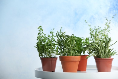 Photo of Pots with fresh rosemary on table against color background