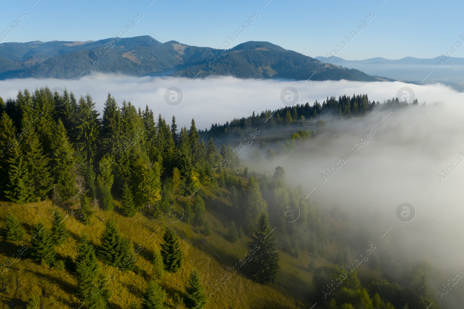 Image of Aerial view of beautiful landscape with misty forest in mountains