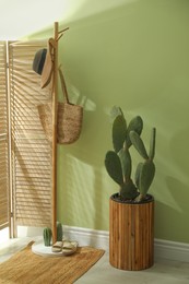 Photo of Hallway interior with cactus in pot and wooden furniture