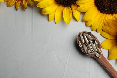 Raw sunflower seeds and flowers on grey table, flat lay. Space for text