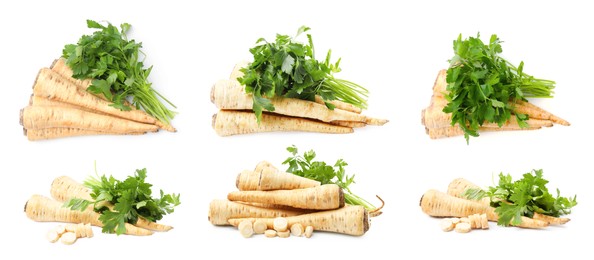 Image of Collage with whole and cut parsley roots on white background