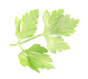 Photo of Sprig of fresh green parsley leaves isolated on white, top view