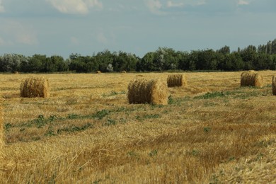 Beautiful view of agricultural field with hay bales