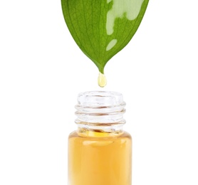 Photo of Essential oil drop falling from green leaf into glass bottle on white background, closeup