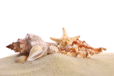 Photo of Beautiful exotic sea shells, starfish and sand on white background