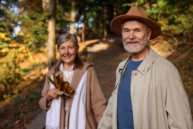 Affectionate senior couple with dry leaves walking in autumn park, selective focus