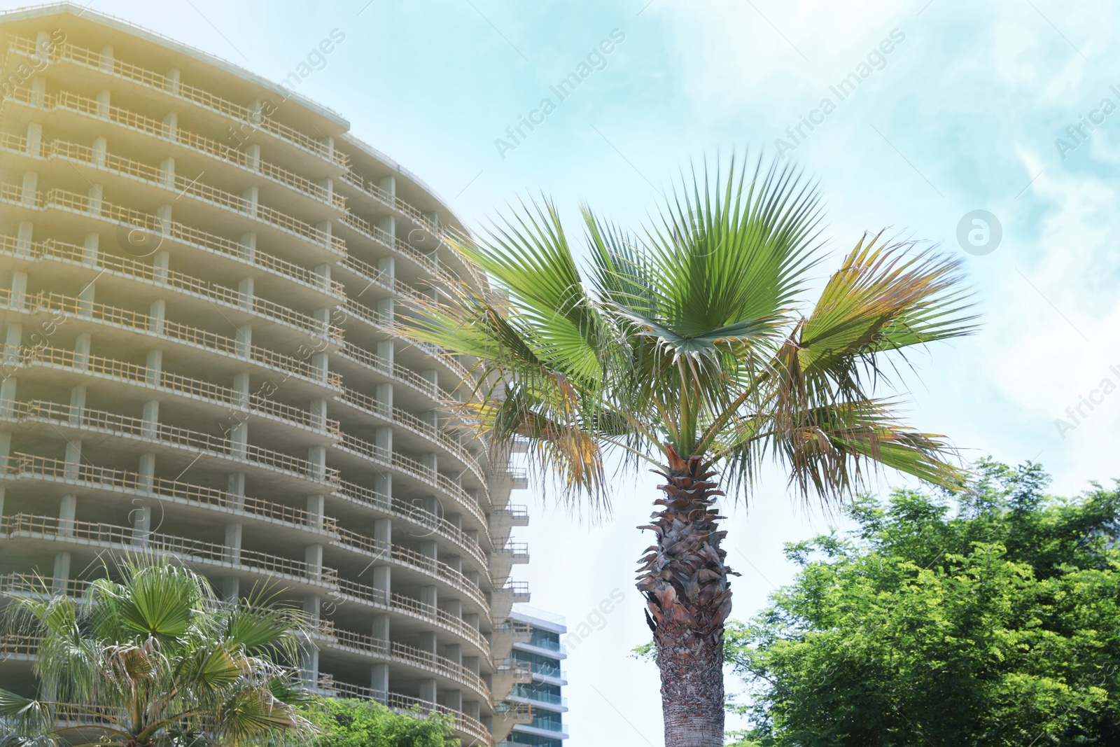 Photo of Tropical palm tree near unfinished building on sunny day. Construction site