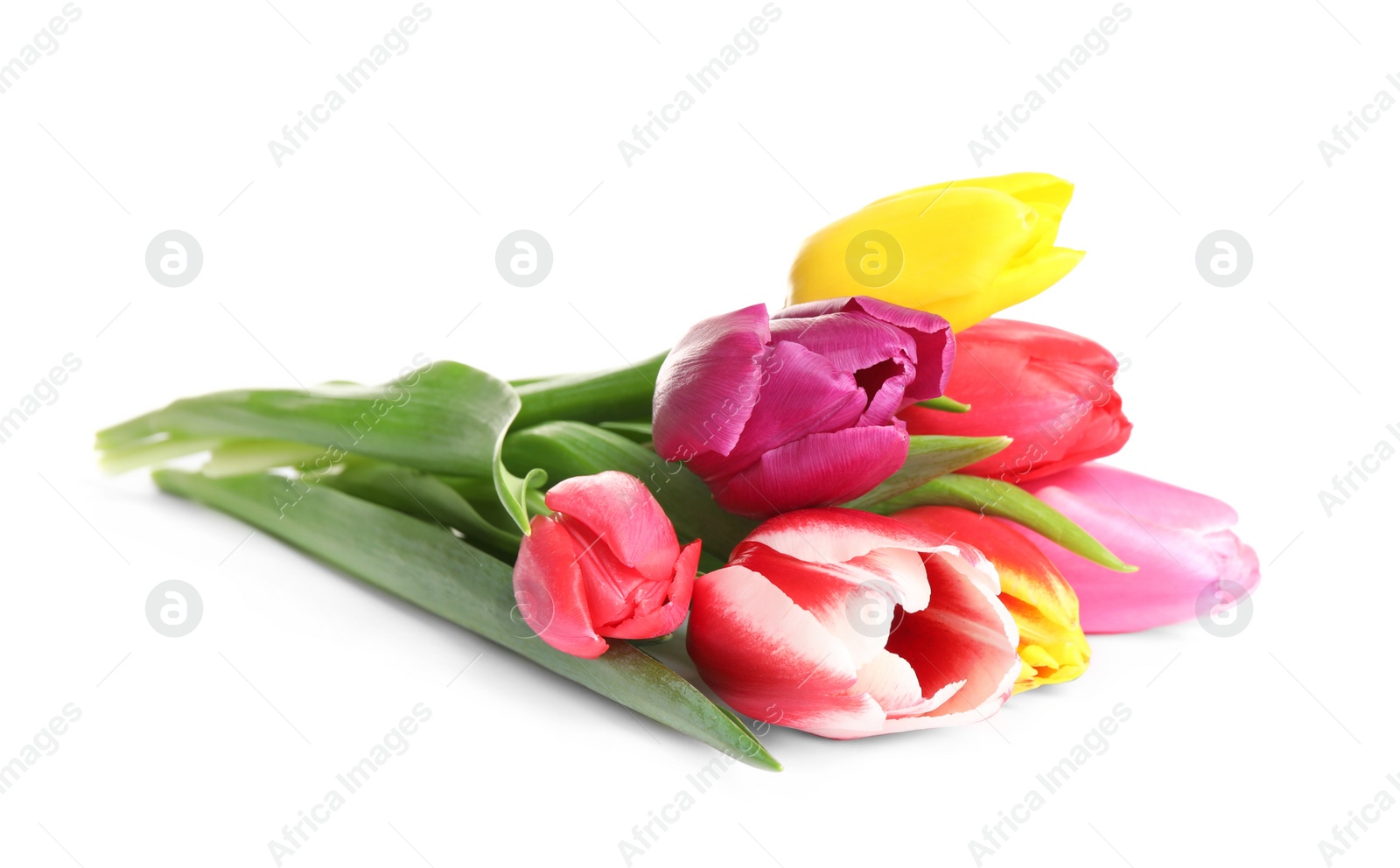 Photo of Beautiful bright spring tulips on white background