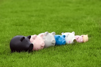 Different piggy banks on green grass outdoors