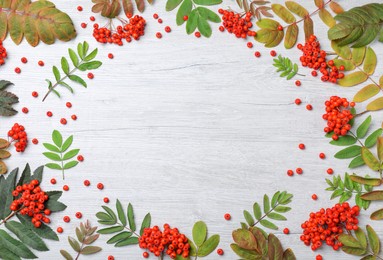 Frame of fresh ripe rowan berries and green leaves on white wooden table, flat lay. Space for text