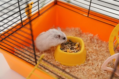 Photo of Cute funny pearl hamster feeding in cage, closeup