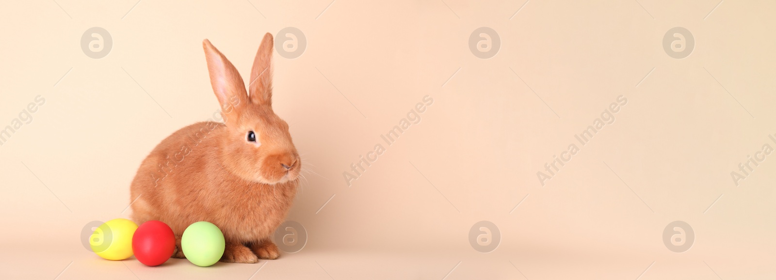 Photo of Cute bunny and Easter eggs on beige background