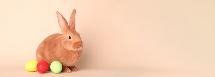 Photo of Cute bunny and Easter eggs on beige background