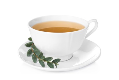 Cup of green tea with eucalyptus leaves on white background