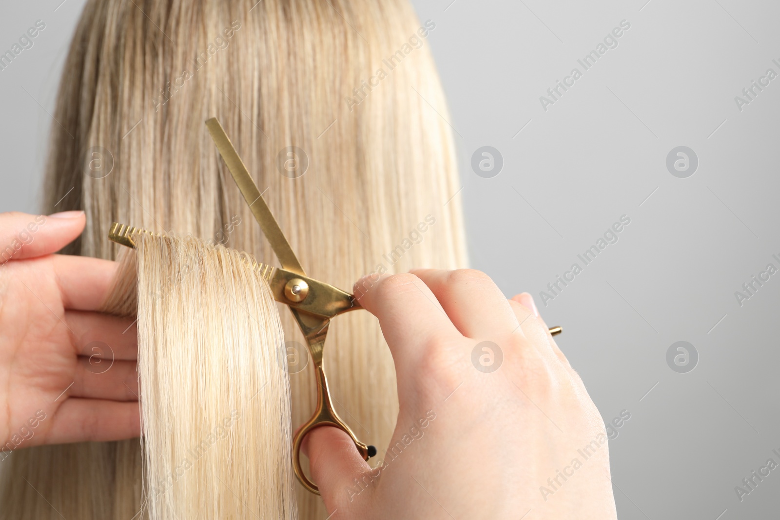 Photo of Hairdresser cutting client's hair with scissors on light grey background, closeup. Space for text