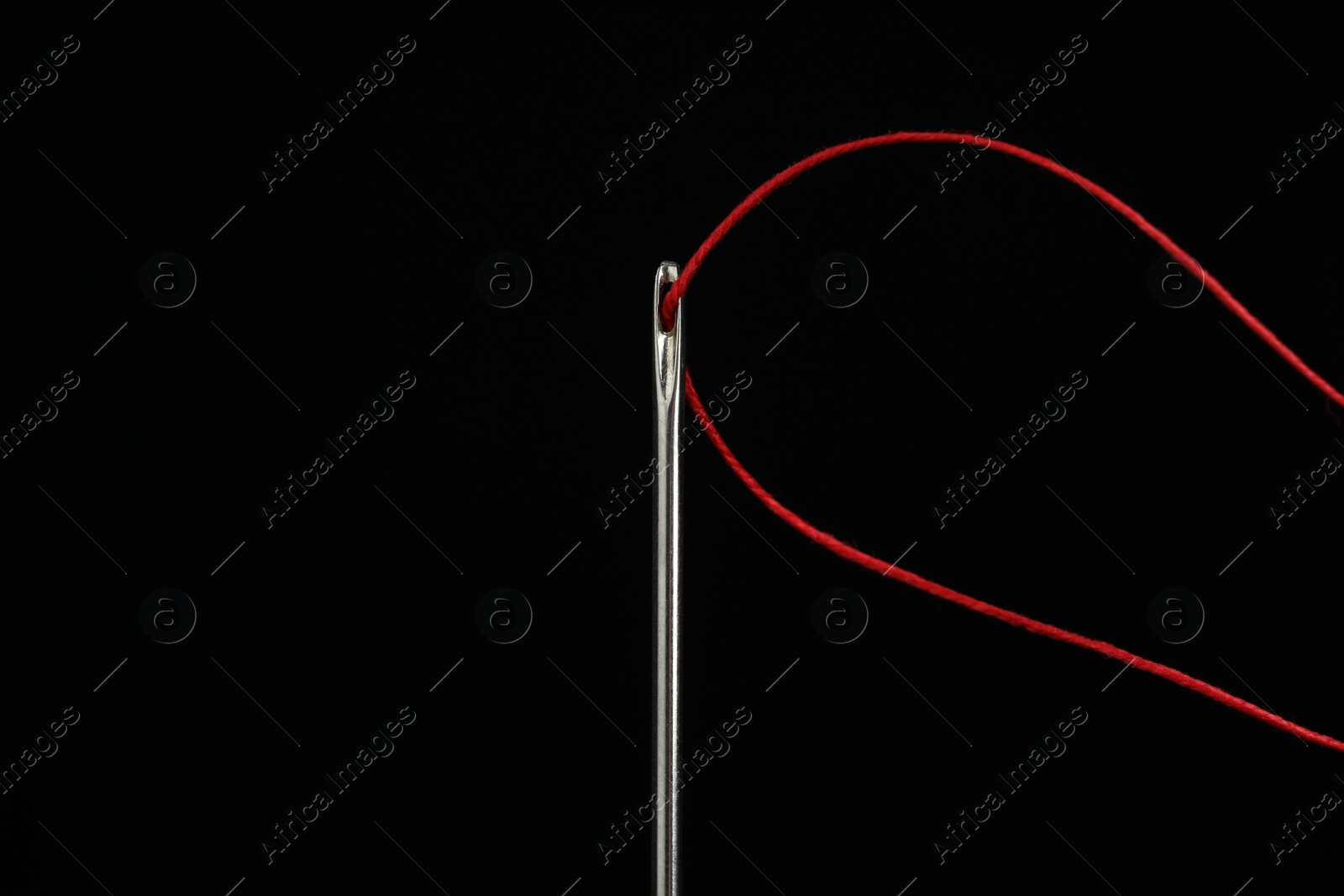 Photo of Sewing needle with red thread on black background, closeup