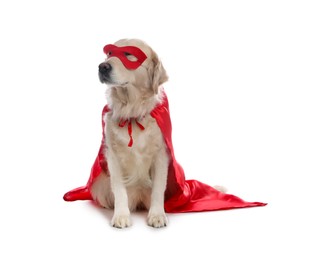 Photo of Adorable dog in red superhero cape and mask on white background